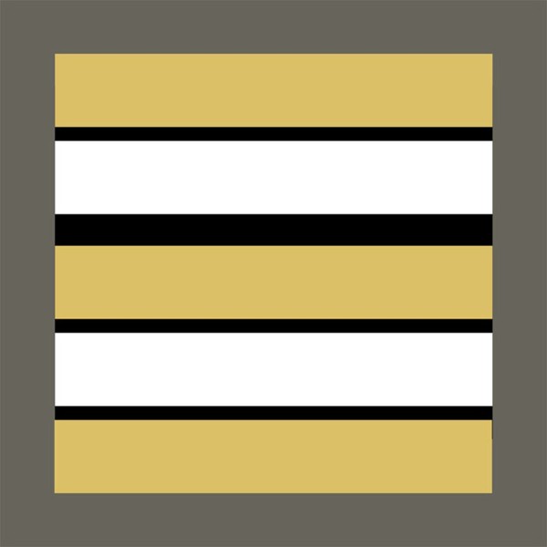 Grade militaire haute visibilité jaune Soldat de 1ère classe surplu